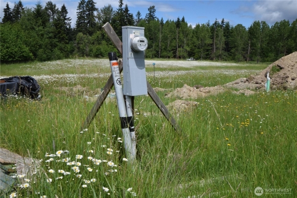 Listing Image #3 - Land for sale at 2717 354TH STREET CT, ROY WA 98580