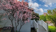 Listing Image #3 - Others for sale at 168 College Avenue, Waterville ME 04901