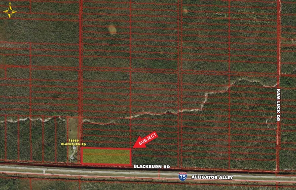Listing Image #1 - Land for sale at BLACKBURN RD, Naples FL 34117