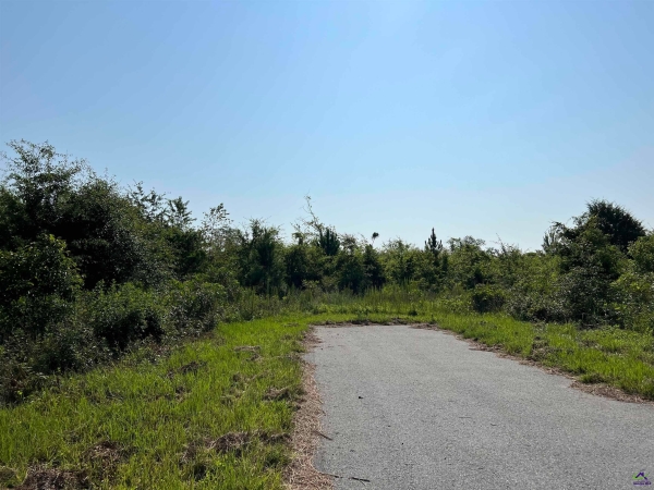 Listing Image #2 - Others for sale at Hwy 87 Bypass, Cochran GA 31014 Listing Image #2 - Others for sale at Hwy 87 Bypass, Cochran GA 31014