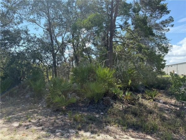 Listing Image #2 - Others for sale at 107 Peace Avenue, Lake Placid FL 33852