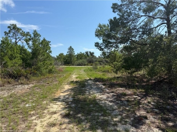 Listing Image #3 - Others for sale at 107 Peace Avenue, Lake Placid FL 33852