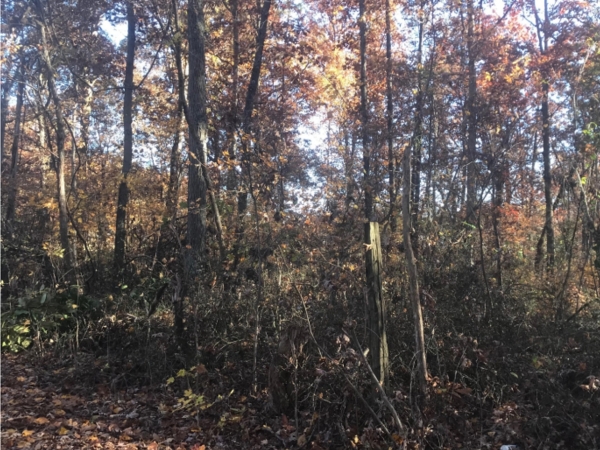 Listing Image #1 - Land for sale at 0 Howard Rd, La Grange KY 40031 Listing Image #1 - Land for sale at 0 Howard Rd, La Grange KY 40031