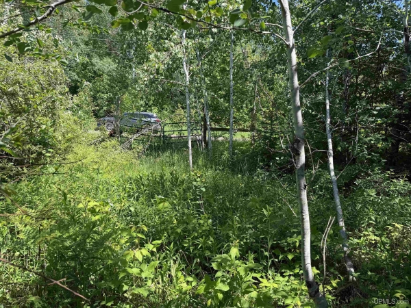 Listing Image #2 - Land for sale at TBD Woodspur, Ontonagon MI 49953