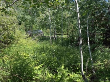 Listing Image #2 - Land for sale at TBD Woodspur, Ontonagon MI 49953