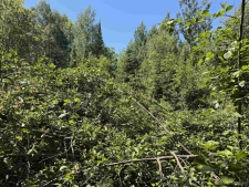 Listing Image #3 - Land for sale at TBD Woodspur, Ontonagon MI 49953