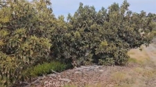 Others property for sale in Valley Center, CA