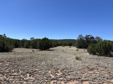 Others property for sale in Tajique, NM