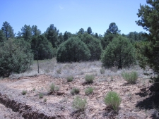 Others property for sale in Tijeras, NM
