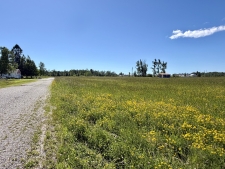 Listing Image #3 - Others for sale at 10900 Townline Road, Cheboygan MI 49721