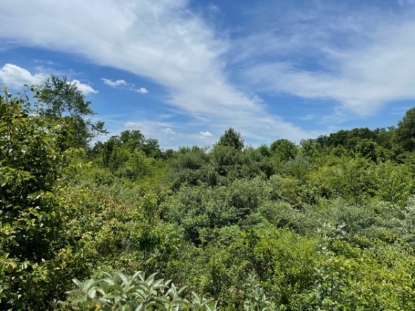 Listing Image #1 - Land for sale at Layman Road and Dennis Street, Athens TN 37303 Listing Image #1 - Land for sale at Layman Road and Dennis Street, Athens TN 37303