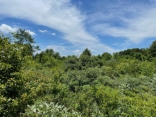 Land property for sale in Athens, TN