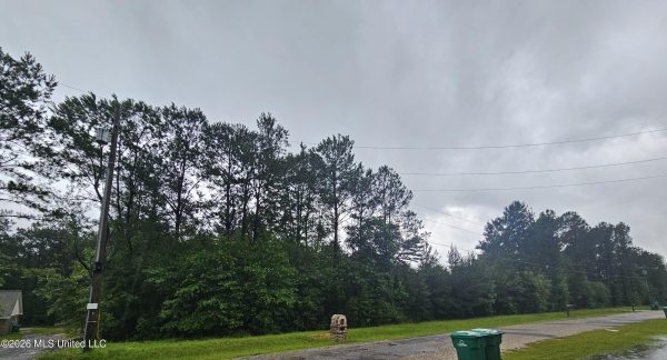 Listing Image #3 - Land for sale at 27400 E Lake Cypress Drive, Perkinston MS 39573
