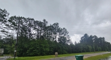 Listing Image #3 - Land for sale at 27400 E Lake Cypress Drive, Perkinston MS 39573