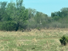 Listing Image #3 - Land for sale at CS 2860 Tract C, Chickasha OK 73018