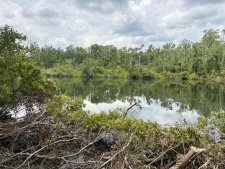 Listing Image #3 - Land for sale at Bushy Park Road, Moncks Corner SC 29461