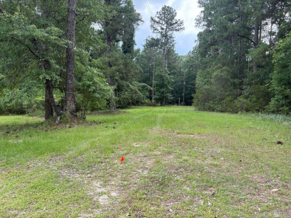 Listing Image #1 - Land for sale at 0 Aaron Lane, Summerville SC 29485 Listing Image #1 - Land for sale at 0 Aaron Lane, Summerville SC 29485