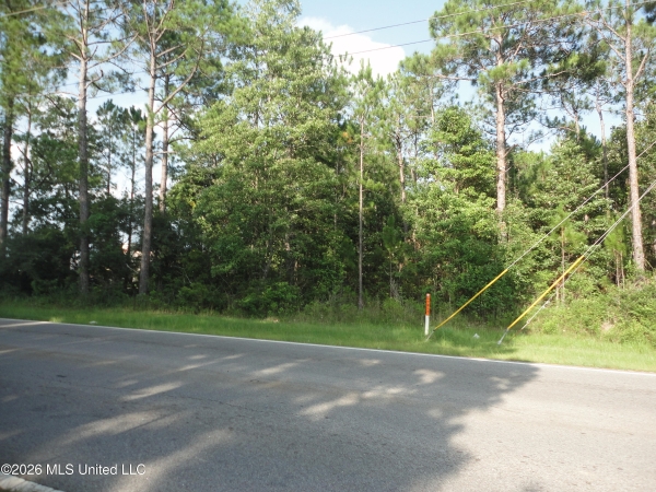 Listing Image #1 - Land for sale at Dolphin Drive, Gautier MS 39553