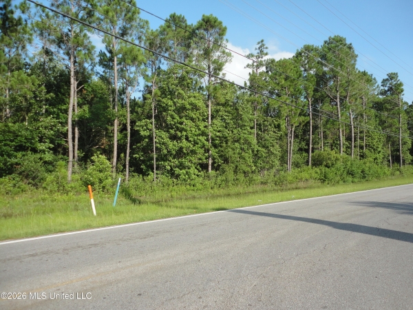 Listing Image #3 - Land for sale at Dolphin Drive, Gautier MS 39553
