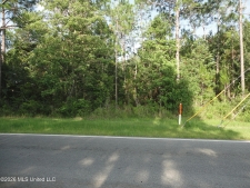 Listing Image #2 - Land for sale at Dolphin Drive, Gautier MS 39553
