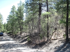 Others for sale in Tijeras, NM