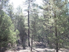 Listing Image #2 - Others for sale at 35 Green Shadow Lane, Tijeras NM 87059