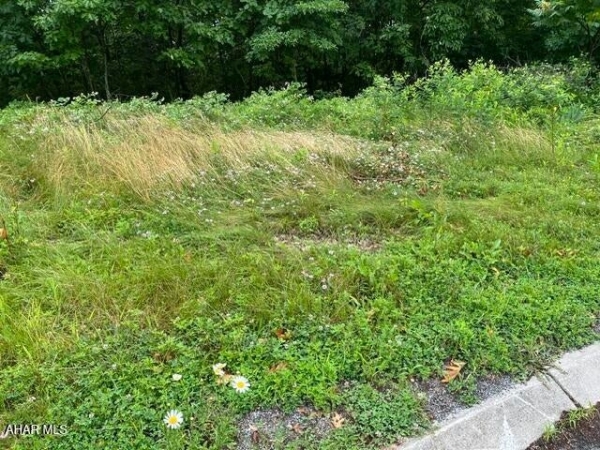 Listing Image #1 - Others for sale at Lot 71 Queens Way, Altoona PA 16601 Listing Image #1 - Others for sale at Lot 71 Queens Way, Altoona PA 16601