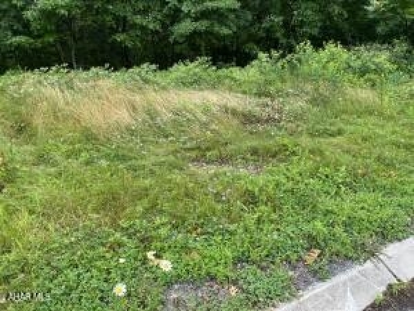 Listing Image #1 - Land for sale at Lot 71 Queens Way, Altoona PA 16601
