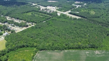 Listing Image #3 - Land for sale at Oswego Hwy, Sumter SC 29150