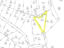 Listing Image #2 - Land for sale at Dotty Court 382, Tehachapi CA 93561