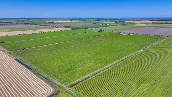 Listing Image #2 - Land for sale at 37830 Jefferson Blvd, Clarksburg CA 95612 Listing Image #2 - Land for sale at 37830 Jefferson Blvd, Clarksburg CA 95612