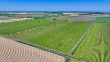 Land for sale in Clarksburg, CA