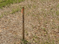 Listing Image #3 - Land for sale at 12 Fawn Meadows, Clarksville TN 37043