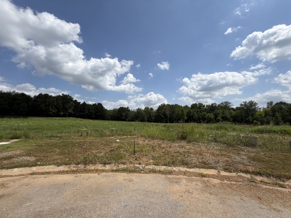 Listing Image #3 - Land for sale at 20 Fawn Meadows, Clarksville TN 37043 Listing Image #3 - Land for sale at 20 Fawn Meadows, Clarksville TN 37043