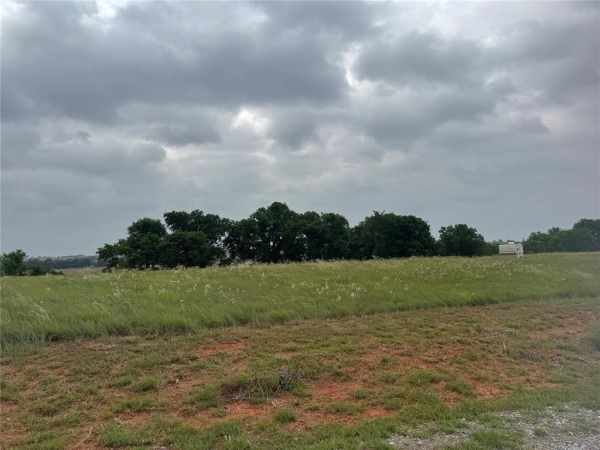 Listing Image #1 - Land for sale at 1446 County Road 1344, Chickasha OK 73018