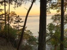 Listing Image #3 - Others for sale at Fern Place, Friday Harbor WA 98250