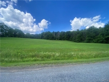 Others property for sale in New Berlin, NY