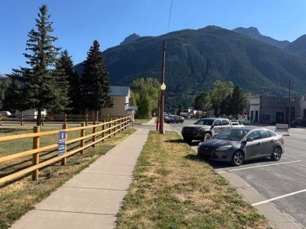 Listing Image #3 - Land for sale at 1000 BLOCK Greene Street, Silverton CO 81433