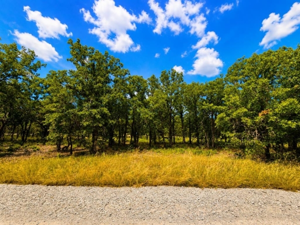 Listing Image #2 - Land for sale at 0000 Martins Lane , 6, Bridgeport TX 76426 Listing Image #2 - Land for sale at 0000 Martins Lane , 6, Bridgeport TX 76426