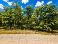 Listing Image #3 - Land for sale at 0000 Martins Lane , 6, Bridgeport TX 76426