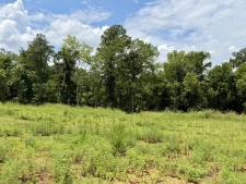 Listing Image #3 - Land for sale at 2054 Daniel Johnson Way, Clarksville TN 37043