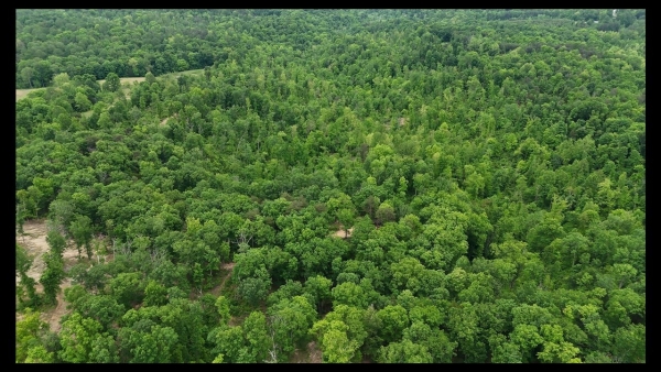 Listing Image #3 - Others for sale at 89 AC Cub Run Road, Cub Run KY 42729 Listing Image #3 - Others for sale at 89 AC Cub Run Road, Cub Run KY 42729