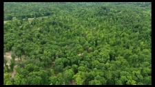 Listing Image #3 - Others for sale at 89 AC Cub Run Road, Cub Run KY 42729