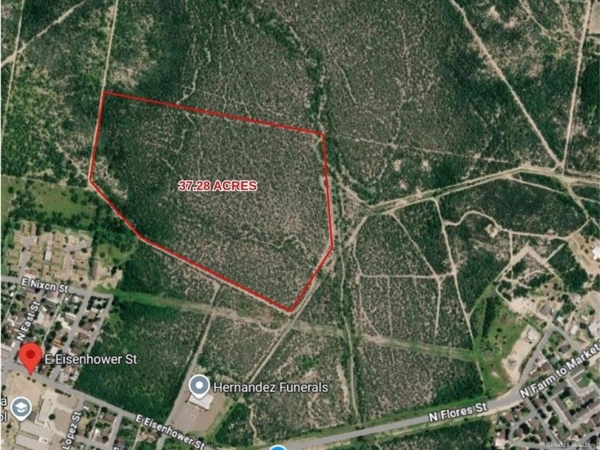Listing Image #1 - Land for sale at 703 E Eisenhower Street E, Rio Grande City TX 78582