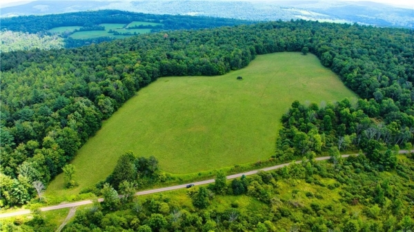 Listing Image #3 - Others for sale at Schlafer Road, Guilford NY 13780 Listing Image #3 - Others for sale at Schlafer Road, Guilford NY 13780