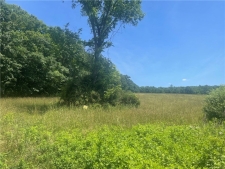 Others property for sale in Guilford, NY