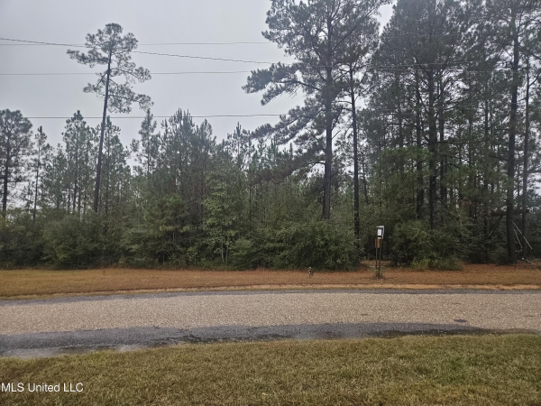 Listing Image #1 - Land for sale at E Lake Cypress Drive, Perkinston MS 39573