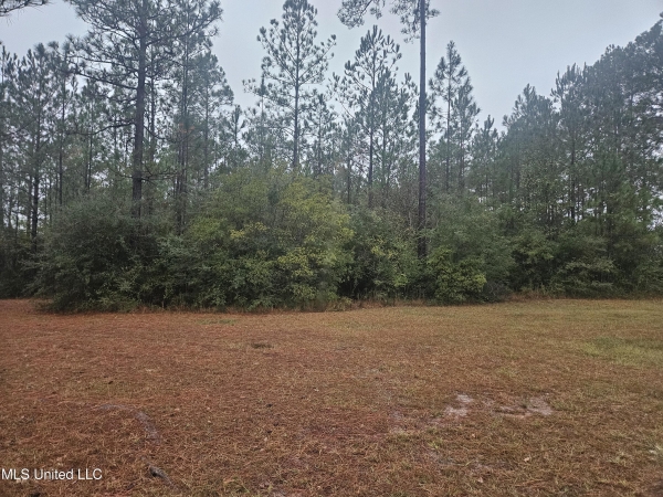 Listing Image #3 - Land for sale at E Lake Cypress Drive, Perkinston MS 39573
