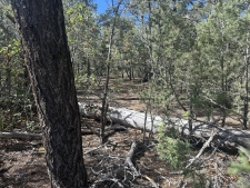 Others property for sale in Tijeras, NM