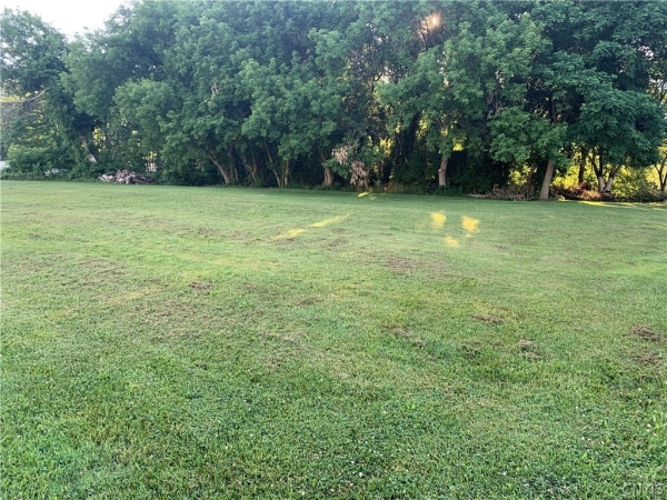 Listing Image #1 - Land for sale at 0 State Route 481, Fulton NY 13069 Listing Image #1 - Land for sale at 0 State Route 481, Fulton NY 13069